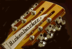 Official Rickenbacker Guitar Page